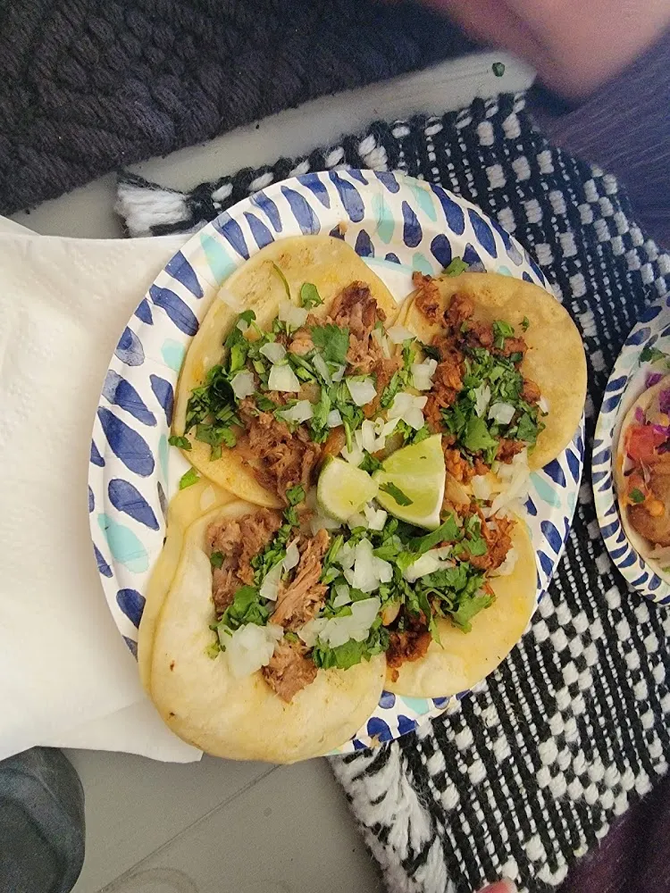 Carnitas and Al Pastor Taco